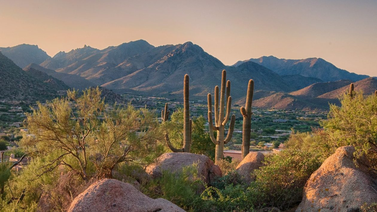 do in Phoenix AZ