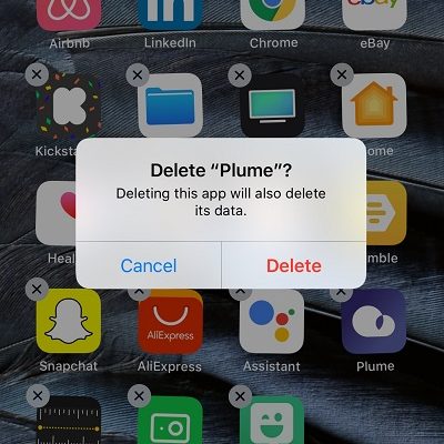 Recently Deleted Apps On iPhone