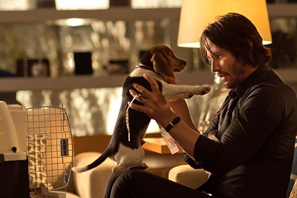 where can i watch john wick