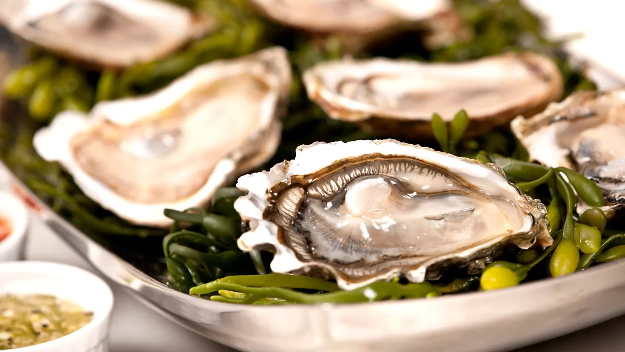 health benefits of oysters