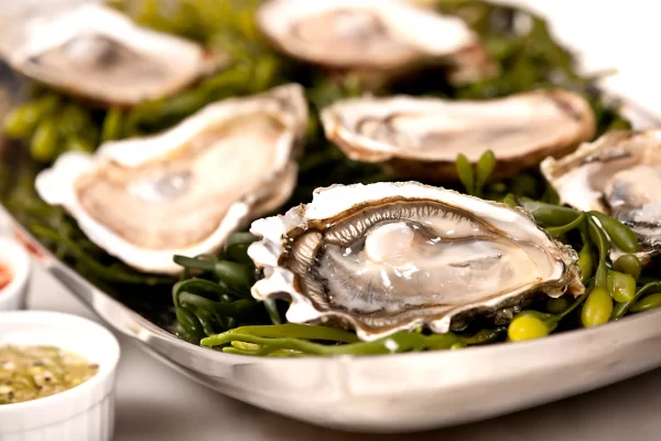 health benefits of oysters