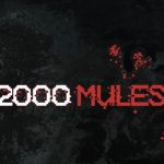 Where Can I Watch 2000 Mules Near Me