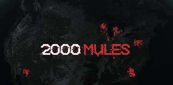 Where Can I Watch 2000 Mules Near Me