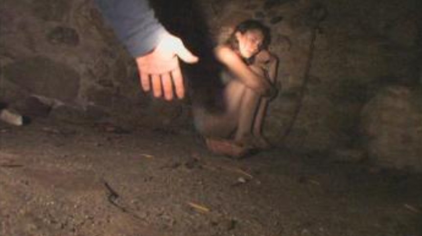 Where Can I Watch Megan Is Missing