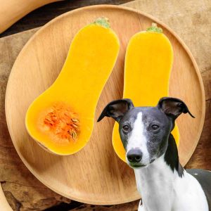 Can Dogs Have Butternut Squash